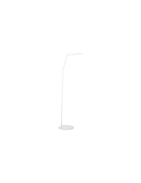 Flecha en la base - Cocoon of Love