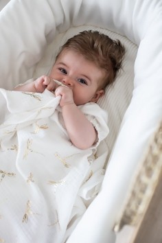 Palmenwiege – Elfenbein 2